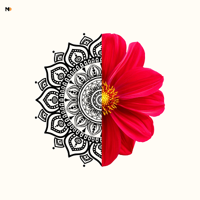 Half Cut Flower Mandala art artist design graphic design illustration illustrator mandala mandala art mandala design photoshop vector