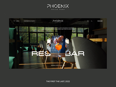 Phoenix Relax Park design ui ux web webdesign