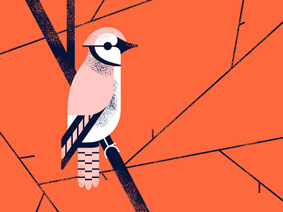 Pink Jay birch bird birding bluejay branch geometric grit hiking illustration illustrator minnesota nature outdoors pink sitting texture tree vector wildlife