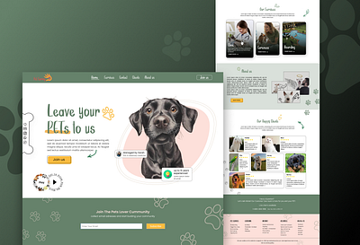 Pet Care Website Design design ui ux