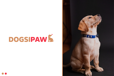Dogsipaw Logo Deisgn brand identity branding design graphic design graphics logo pet care