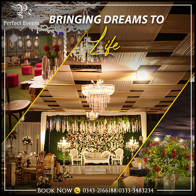 Events Collage animation attractivelogo bestlogo branding design graphic design illustration logo vector