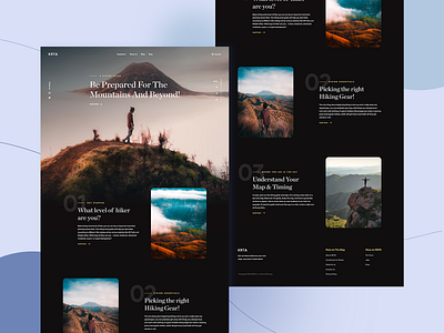 Mountaint advantage Website Page app branding design graphic design icon illustration ios app logo mobile app ui vector