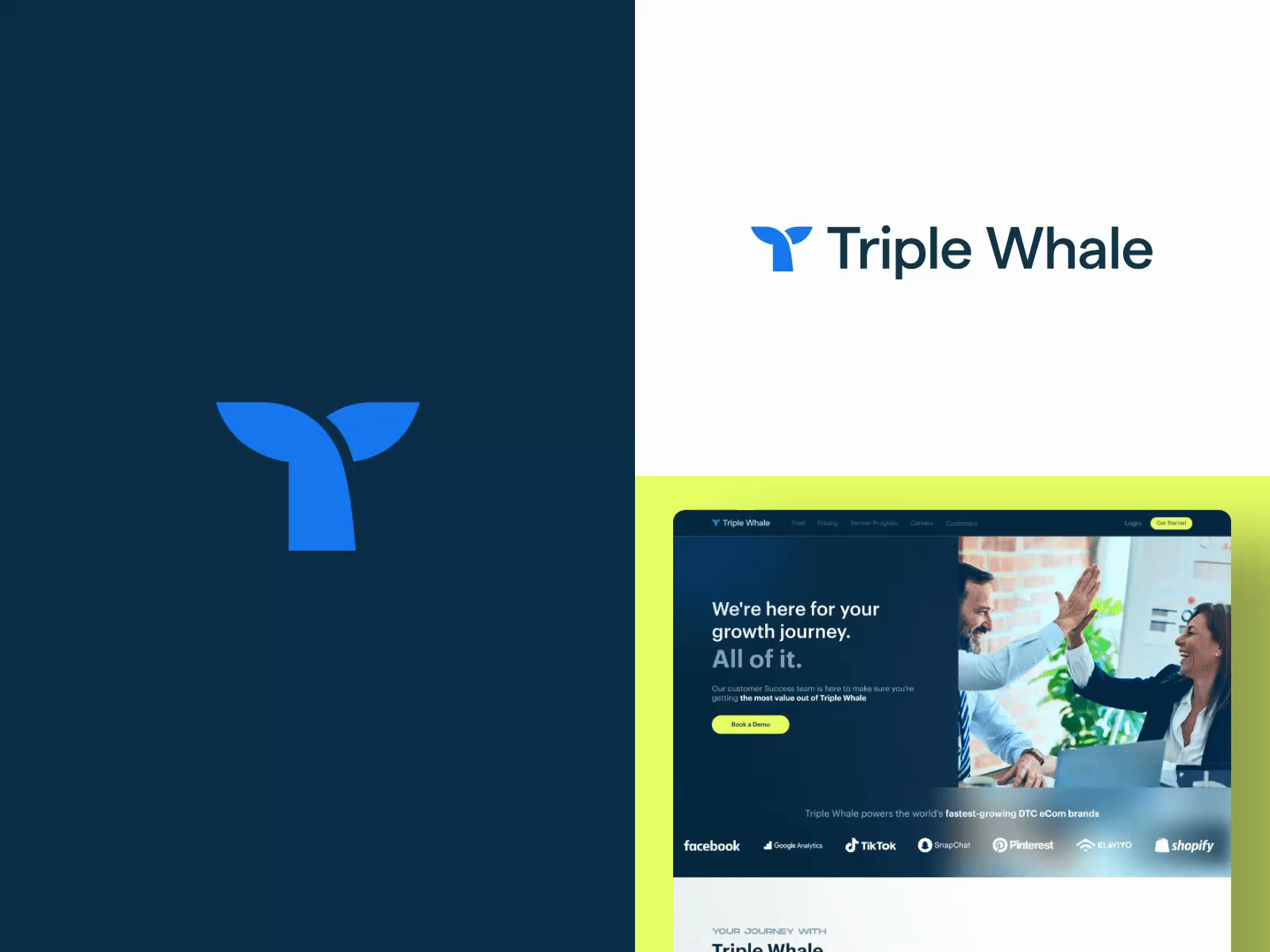 Triple Whale branding design graphic design ui ux website