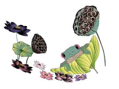 Green Frog with Red Eyes amphibian beautiful nature colord decor digital illustration flora flower frog graphic design green greeting card hand drawn leaf line art lotus nature red eyes toad