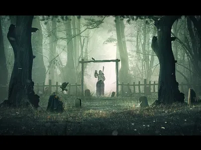 Mysterious Forest graphic design