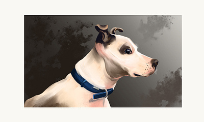 Pet Portrait design graphic design illustration minimal