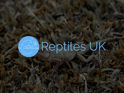 REPTILES UK app logo brand kit branding design crypto logo design food logo illustration tech tech logo