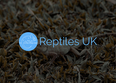 REPTILES UK app logo brand kit branding design crypto logo design food logo illustration tech tech logo