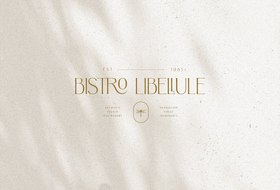 Argentine - Nostalgic Elegant Sans aesthetic branding classic creative market design editorial font fonts graphic design logo logo design minimal nostalgic packaging retro sans serif type design typeface typography ui