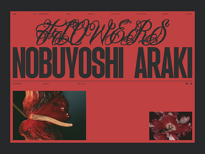 Portfolio website araki art contemporary art fine art japan nobuyoshi photographer photography portfolio red site typography ui web design website