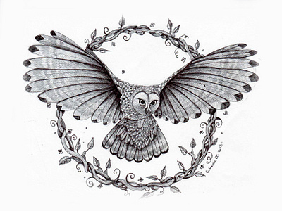 Drawing (pen) // Owl in Flight //