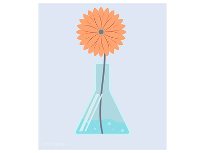 Gerbera in a flask adobeillustrator beauty bloom blossom botanica colors daisy decoration design flask flora flower fresh gerbera nature plant summer vase vector water