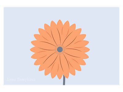 A gerbera closeup adobeillustrator beauty blooming blossom closeup fresh gerbera graphic design illustration nature orange plant vector