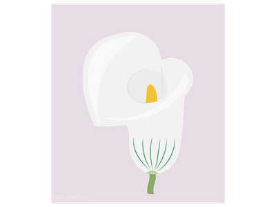 White flower closeup adobeillustrator closeup fresh vector