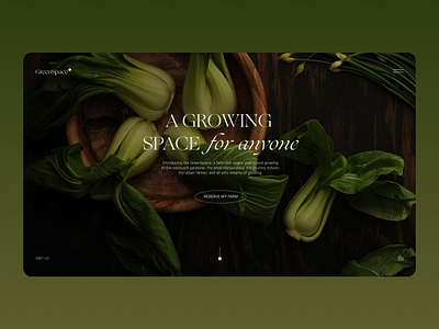 Hydroponic farms UI landing page concept branding colours concept design farm figma graphic design hero logo nature plants ui website