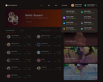 Multi-NFT Wallet (Wallets modal) blockchain cryptocurrency dapps design nft ui wallet web3