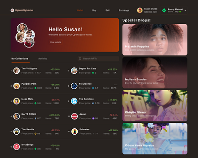 Multi-NFT Wallet (Collection) blockchain cryptocurrency dapps dashboard design nft ui wallet web3