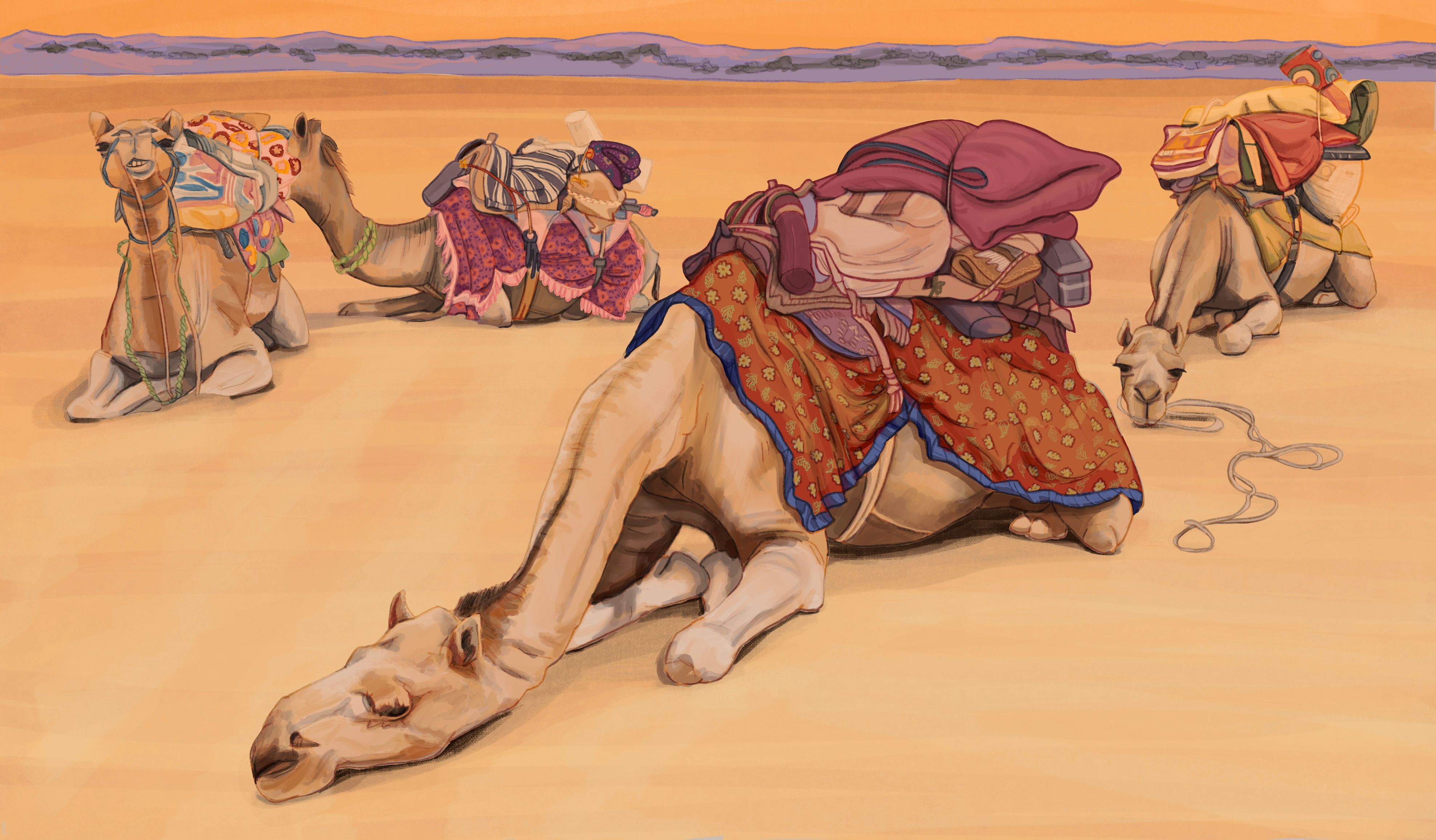 Example of Jaipur heat