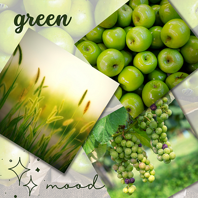 GREENIES 1 aesthetic canva graphic design green minimal mood moodboard
