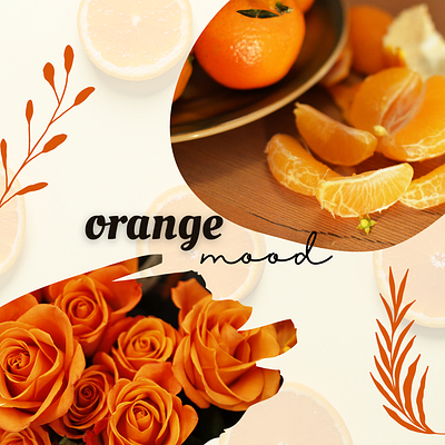 ORANGED canva graphic design mood moodboard orange