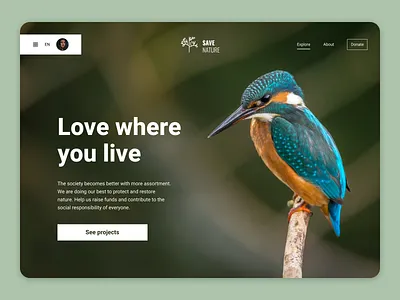 Save Nature — Landing Page design fund fundraising landing landing page nature protect nature ui uiux