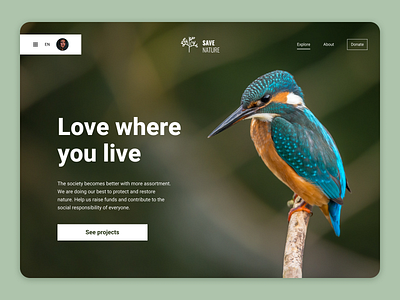 Save Nature — Landing Page design fund fundraising landing landing page nature protect nature ui uiux