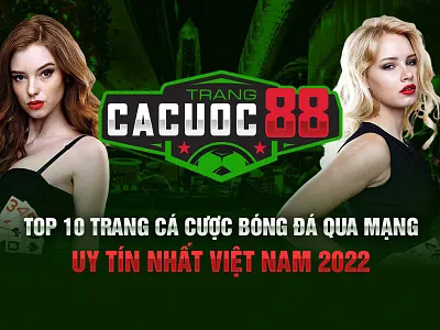 Những sân chơi uy tín nhất thế giới hiện tại dân biểu nên biết webcadobongda