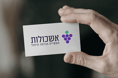 אשכולות branding business card design graphic design illustration logo mockup olive vector