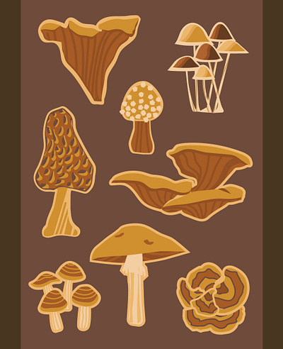 Mushrooms flat art flat design graphic design illustration morel mushroom nature vector