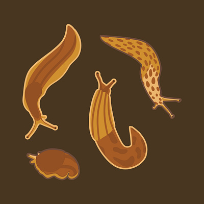 Slugs design flat art graphic design illustration nature slugs vector