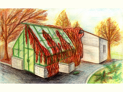 Series of postcards with Kharkiv graphic illustration