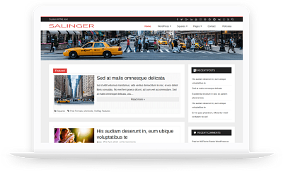 Salinger-Free WordPress Theme wordpress