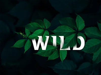 Text & Image Interaction branding design graphic design illustration logo typography