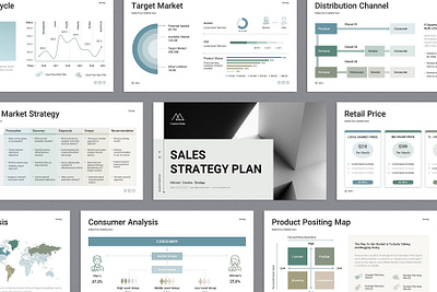 Sales Strategy Plan PowerPoint Presentation branding design powerpoint presentation template