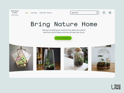 Terrarium Studio | Terrarium Marketplace Website 3d animation branding figma graphic design logo motion graphics nft plant terrarium ui website