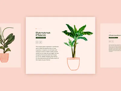 Plantarium Landing Page #2 animation cat collage dog figma graphic design illustration landing nocode plants typography ui ux web webflow