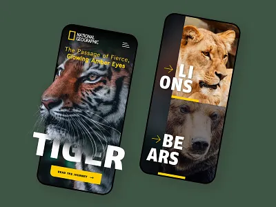 NatGeo_Sample_01 - Responsive branding design designer digital marketing graphic design marketing social media social media marketing ui ui design ux design web web design web designer web developer web development website website design wordpress