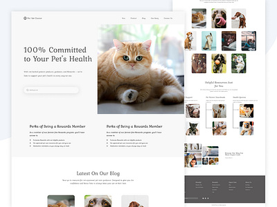 Pet Care Landing Page bitmate bitmatestudio branding cats design dogs home page landing page pet pet care pet food pet health pet store pets petshop ui ux vet vetcare web design