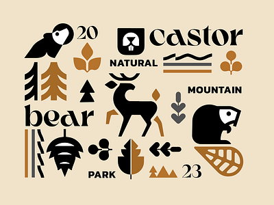 MOUNTAIN PARK bear branding castror deer design icon identity illustration leaf logo marks mountain park symbol ui vector