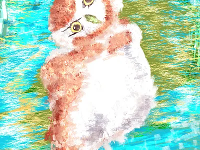 🦉 animal bird colorful feather illustration nature owl