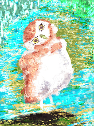 🦉 animal bird colorful feather illustration nature owl