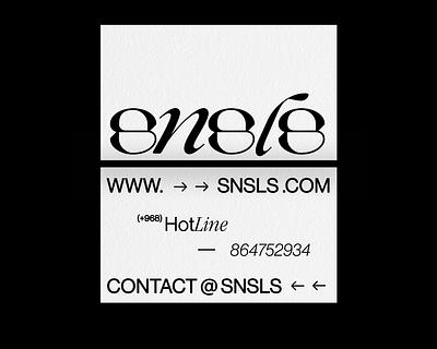 SNSLS - Business Card branding brutalism business card clothing design design inspiration fashion graphic design logo modern swiss