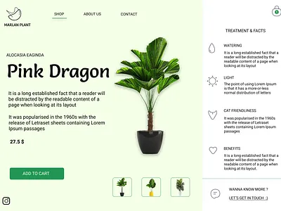 Ui design - Planets Shop 3d branding graphic design online shop planet shop ui