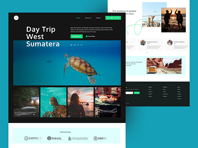 DayTrip - Travel Landing Page agency beach explore landing page tour travel ui ui design uidesign uiux uxdesign view website