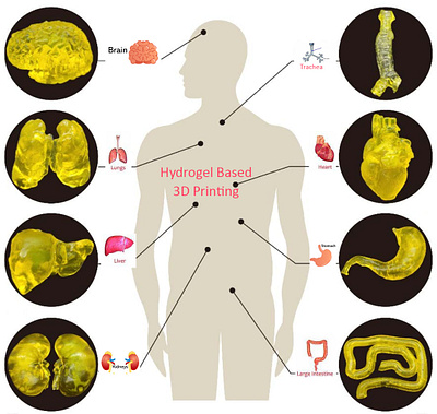 Hydrogels 3d additive manufacturing hydrogels based 3d printing