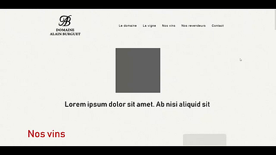 Burguet's project copywriting graphic design illustration webdesign