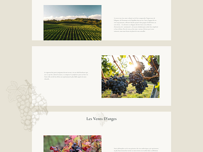 Les Vents d’Anges – Wine eCommerce Website Design design ecommerce fine wine landing page odoo online store shop design ui ui design ux vineyards website wine wine shop