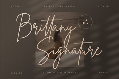 Brittany Signature Business Font beauty branding brittany signature business font brush business calligraphy classy elegant handdrawn handwritten logo modern script signature typography