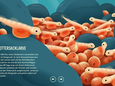 The way of the Atlantic Salomon environmental protection factual illustration illustration infographic salomon